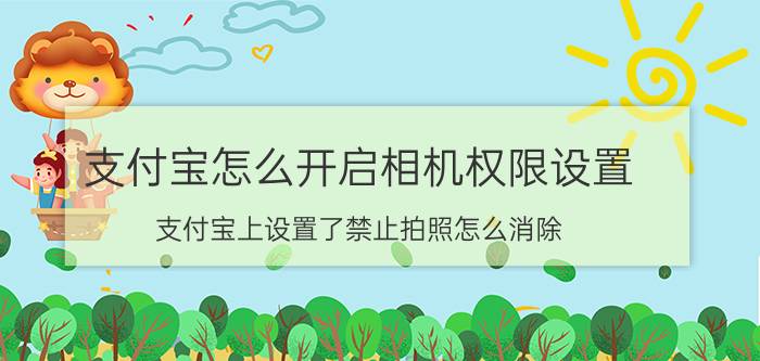 支付宝怎么开启相机权限设置 支付宝上设置了禁止拍照怎么消除？